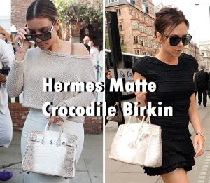 Hermes Matte Crocodile Birkin 
